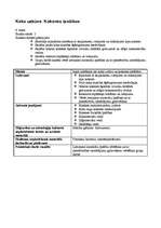 Konspekts 'Mājturības un tehnoloģiju stundu izvērsts konspekts', 35.