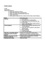 Konspekts 'Mājturības un tehnoloģiju stundu izvērsts konspekts', 59.