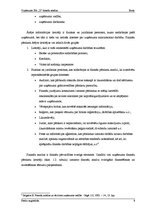 Referāts 'Uzņēmuma SIA "X" finanšu analīze', 8.