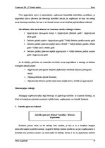 Referāts 'Uzņēmuma SIA "X" finanšu analīze', 19.