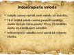 Prezentācija 'Indoeiropiešu valodu saime', 2.