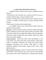 Referāts 'Labklājības ministrijas kompetence', 13.