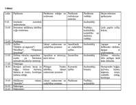 Referāts 'Nometne "Dārgumi"', 4.