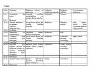 Referāts 'Nometne "Dārgumi"', 5.