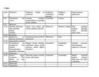 Referāts 'Nometne "Dārgumi"', 6.