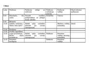 Referāts 'Nometne "Dārgumi"', 8.