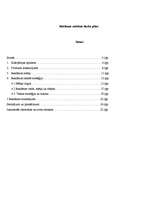 Referāts 'Reklāmas radošais darba plāns', 1.