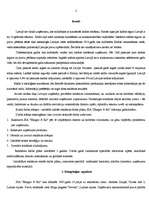 Referāts 'Reklāmas radošais darba plāns', 2.