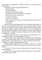 Referāts 'Reklāmas radošais darba plāns', 3.