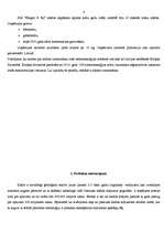 Referāts 'Reklāmas radošais darba plāns', 4.