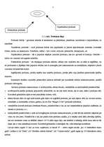 Referāts 'Reklāmas radošais darba plāns', 7.