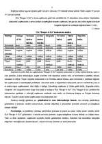 Referāts 'Reklāmas radošais darba plāns', 8.