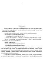 Referāts 'Reklāmas radošais darba plāns', 9.