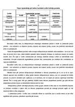 Referāts 'Reklāmas radošais darba plāns', 13.