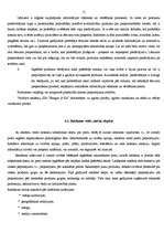 Referāts 'Reklāmas radošais darba plāns', 15.