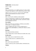 Paraugs 'Dzimšanas diena', 3.