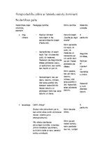 Paraugs 'Dzimšanas diena', 6.