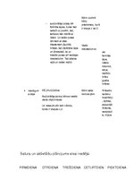 Paraugs 'Dzimšanas diena', 8.