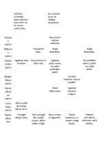 Paraugs 'Dzimšanas diena', 10.