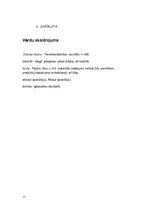 Paraugs 'Dzimšanas diena', 17.