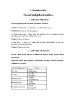 Paraugs 'Pasaules telpiskā struktūra', 1.