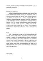 Konspekts 'Žurnālistikas virzieni', 4.