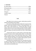 Referāts 'Iespējamie slēptās reklāmas gadījumi Latvijas drukātajā presē pirms 2005.gada pa', 4.