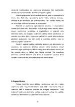 Prakses atskaite 'Uzņēmuma analīzes prakse', 23.