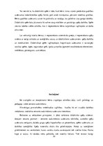 Referāts 'Sensorās attīstības veicināšana 3-5 gadus veciem bērniem, izmantojot didaktiskās', 30.