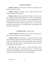 Referāts 'Sensorās attīstības veicināšana 3-5 gadus veciem bērniem, izmantojot didaktiskās', 35.