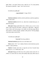 Referāts 'Sensorās attīstības veicināšana 3-5 gadus veciem bērniem, izmantojot didaktiskās', 39.