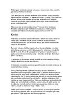 Konspekts 'Literārās valodas stili', 6.