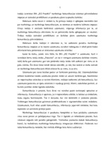 Diplomdarbs 'Mārketinga komunikāciju nozīme un pilnveidošanas iespējas SIA "RZ Projekti"', 9.