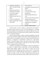 Diplomdarbs 'Mārketinga komunikāciju nozīme un pilnveidošanas iespējas SIA "RZ Projekti"', 33.