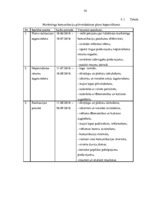 Diplomdarbs 'Mārketinga komunikāciju nozīme un pilnveidošanas iespējas SIA "RZ Projekti"', 56.
