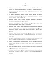 Diplomdarbs 'Mārketinga komunikāciju nozīme un pilnveidošanas iespējas SIA "RZ Projekti"', 60.