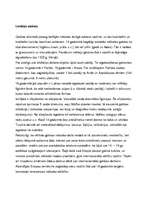 Referāts 'Gotikas stils tēlotājmākslā', 6.