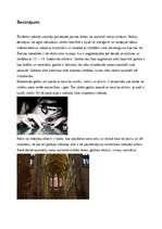 Referāts 'Gotikas stils tēlotājmākslā', 7.