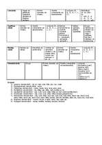 Konspekts 'Vārdšķiras', 1.