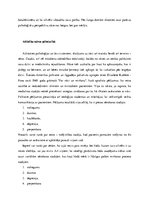 Referāts 'Nāves fenomens', 4.