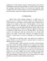 Referāts 'Nodokļu politika Latvijā', 9.