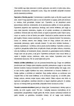 Referāts 'Alternatīvā medicīna', 19.