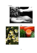 Referāts 'Alternatīvā medicīna', 46.