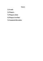 Referāts 'Ģeometrija mums apkārt', 2.