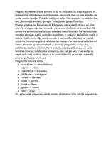 Referāts 'Ģeometrija mums apkārt', 7.