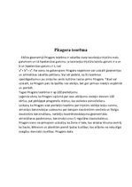 Referāts 'Ģeometrija mums apkārt', 8.