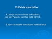 Prezentācija '1918.gada 17.novembris - Tautas Padomes izveidošana, pirmā konstitucionālā akta ', 13.