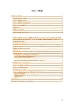 Referāts 'Akcīzes nodoklis', 2.