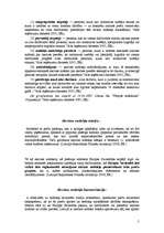 Referāts 'Akcīzes nodoklis', 5.