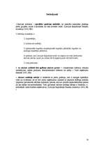 Referāts 'Akcīzes nodoklis', 16.